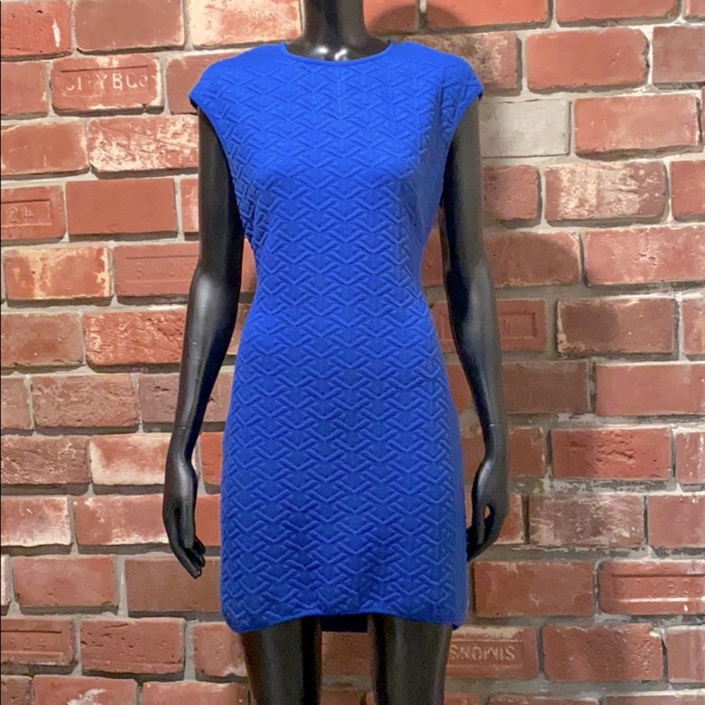 Top Shop Dress